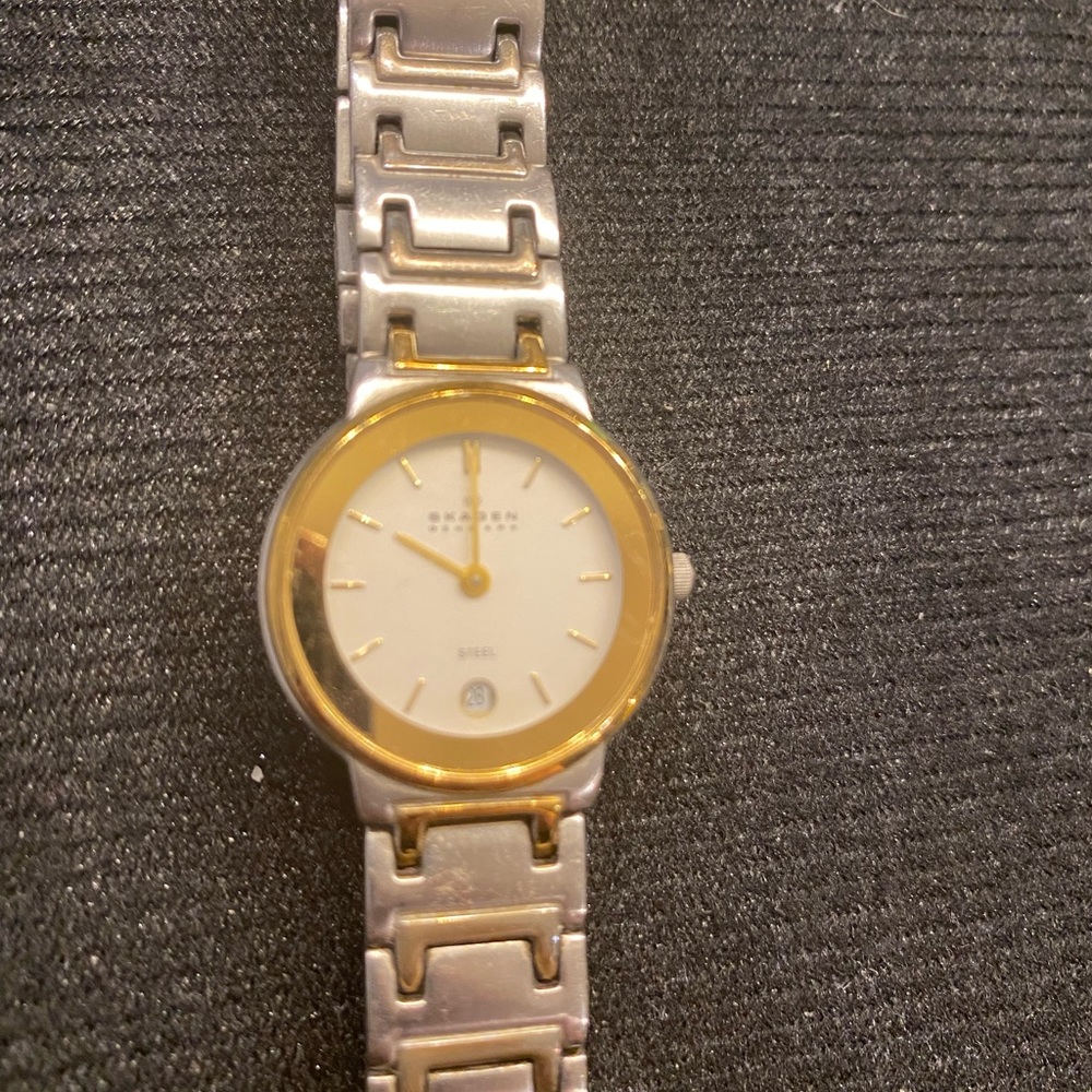 Skagen Denmark Watch